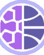 记者：塔利亚菲科与里昂续约可能性不大，埃弗顿、罗马展现出兴趣