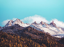 乐鱼体育：开启你的极致运动体验