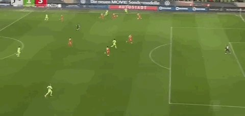 1675617797579031655.gif IMG_5704.gif